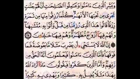 الصفحة رقم 5 سورة البقرة من الأية 25 الي الأية 27