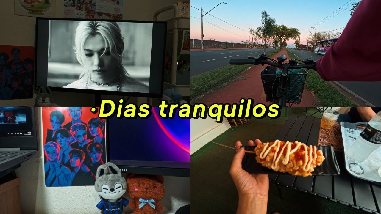 [VLOG] introvert diaries |Fragmentos da minha vida, dias calmos no interior de São Paulo.