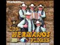 4 noches...Los Hermanos Flores de Rucalhue(Chile)wmv