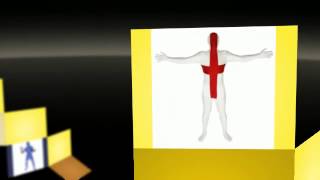 Celebrity Morphsuits Costumes Net Worth