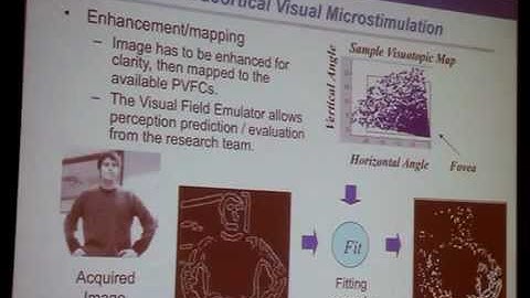 Implantable Microsystems Intended for Onset Epileptic Seizure Detection and Treatment (CIBEC