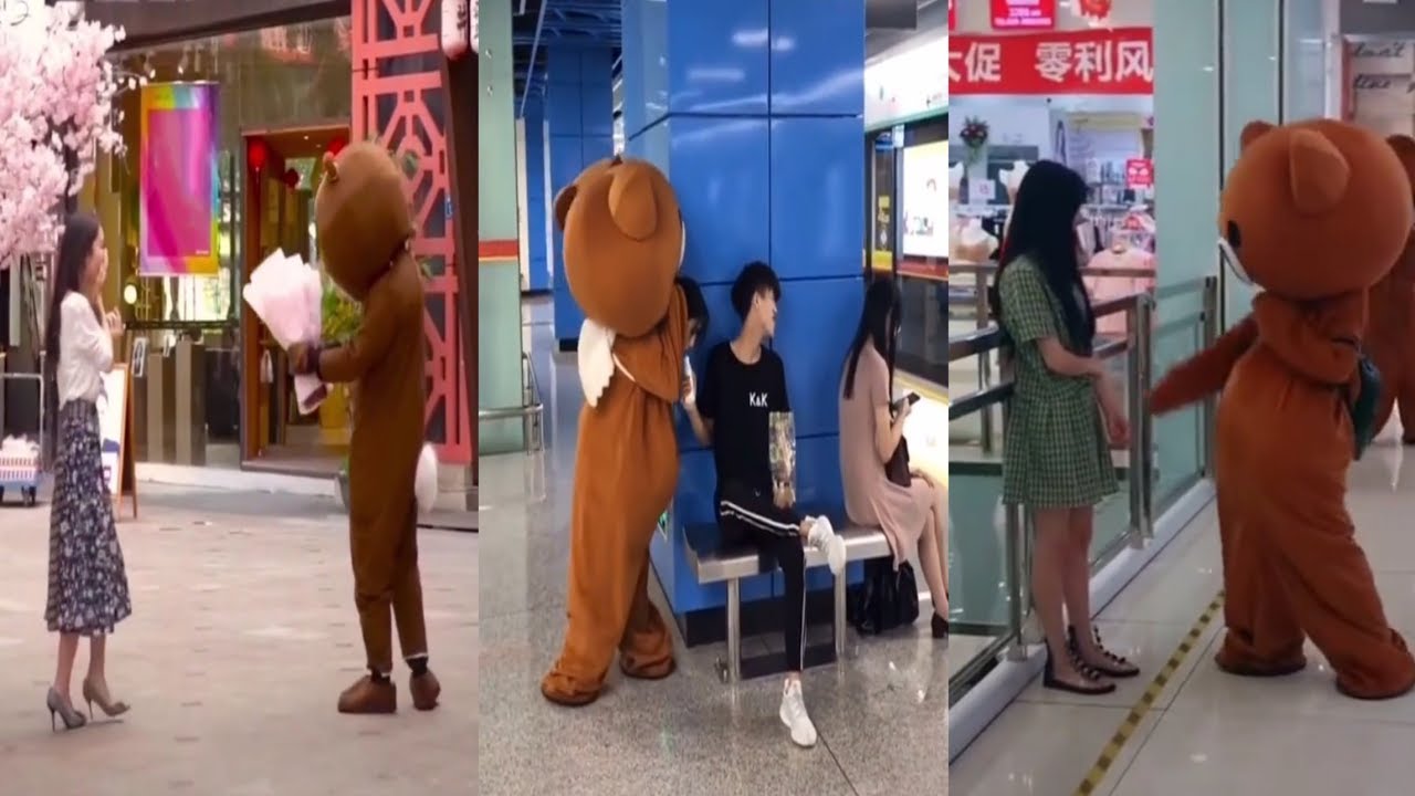 Funny brown bear in tik tok videos/ Douyin china ep.01