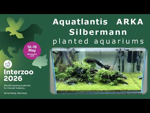 Interzoo 2026 - aquariums @ Aquatlantis, ARKA, Silbermann
