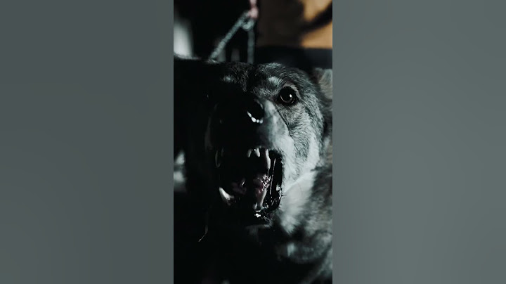 Diego Costa ya es un 🐺 ¡Esta presentación es nivel leyenda! | #Shorts