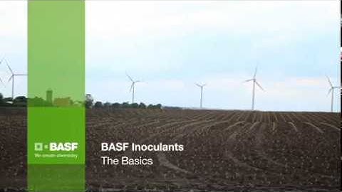BASF Inoculants: The Basics