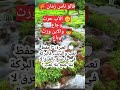بين الكفاح والضياع حكاية جيلين أمثال شعبية اكسبلور العظماء خير ينتشر معلومات الظروف 