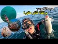 مغامرة صيد استثنائية كائنات وأسماك لن تصدق وجودها 4