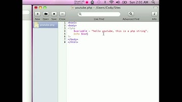 PHP basics - simple string and number variables