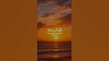 (وافوض امري الى الله ان الله بصير بالعباد)|قران كريم بصوت جميل|الشيخ هزاع البلوشي|سوره غافر 🌹❤️