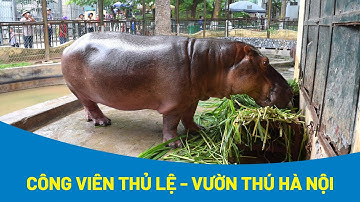 Tham quan Công viên Thủ Lệ - Vườn bách thú Hà Nội từ A – Z - Cách Hay Nhất