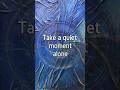 5 words of the day - Take a quiet moment alone