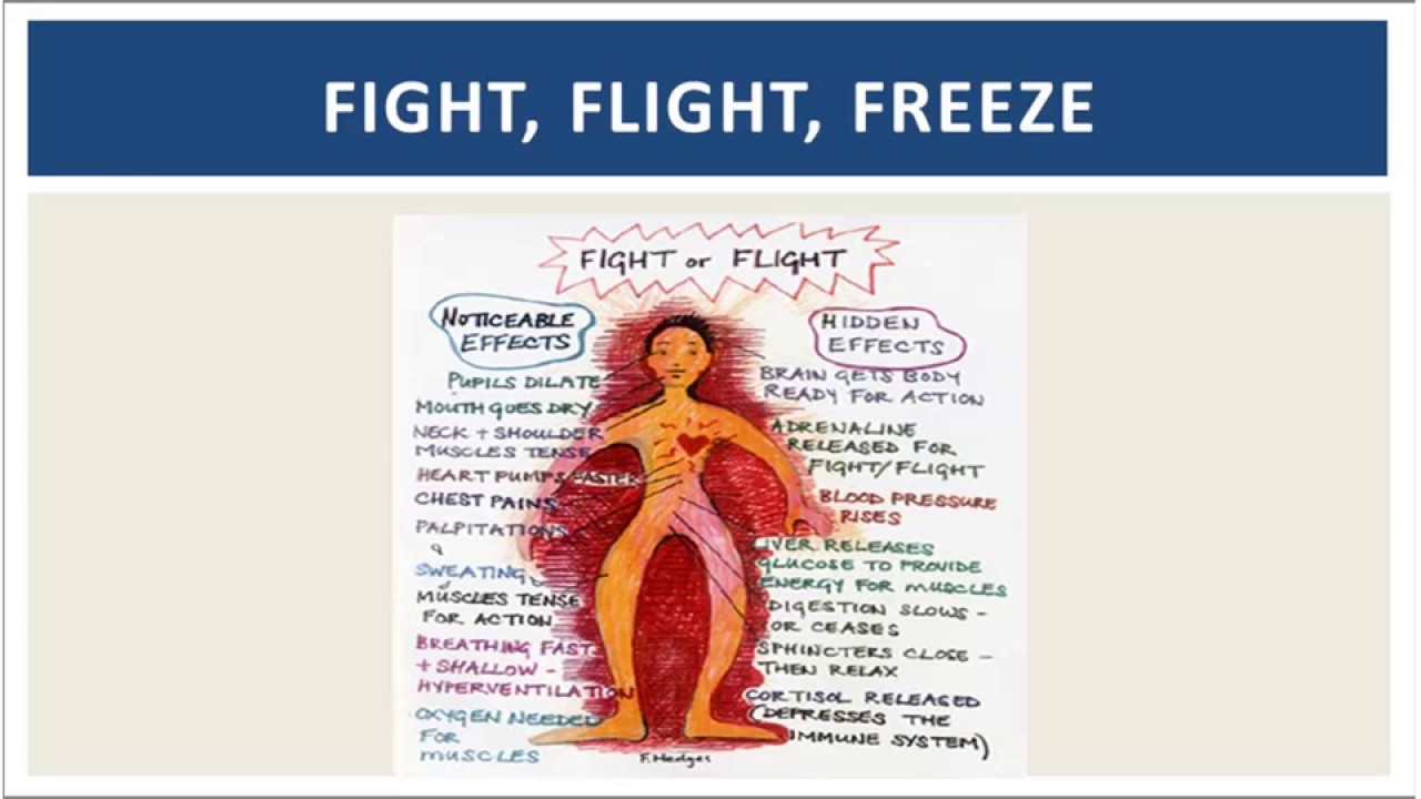 DATA DRIVEN HEALTH & JUSTICE WEBINAR TRAUMA INFORMED CARE AND CIT May 24, 2017