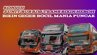 MABOK‼️ BASURI KONVOI 3 UNIT BUS SJM TRANS BIKIN HEBOH‼️