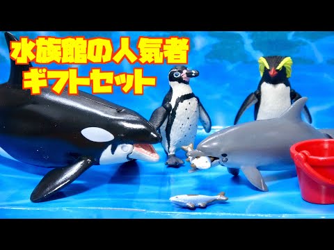 Adam Binder 動物　イルカ　アクアバティックス【1000個限定】 インテックス INTEX アニマル パンチバッグ 1個（イルカ・恐竜