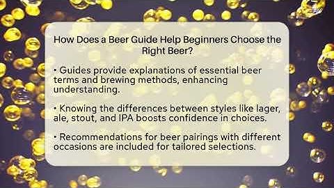How Does a Beer Guide Help Beginners Choose the Right Beer? | The Pint Guy