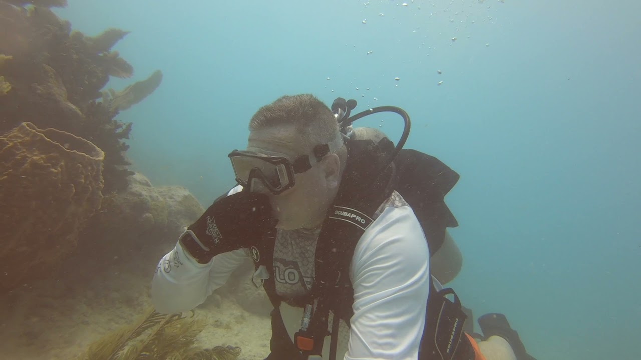 Diving Looe Key!