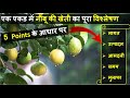 एक एकड़ नींबू की खेती में लागत, आमदनी और प्रॉफिट की पूरी जानकारी | Lemon Farming In India