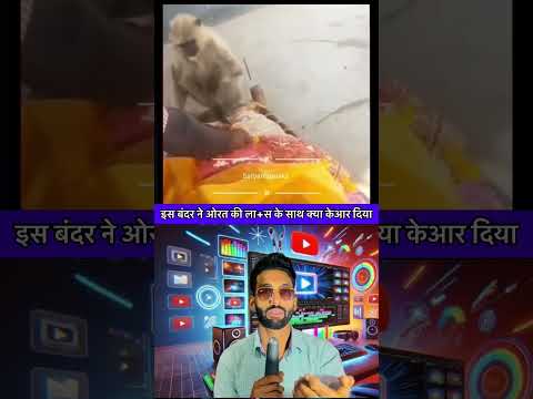 Monkey emotions 💔😩 @baazadamke #viral #youtubeshorts #viralvideo #emotional