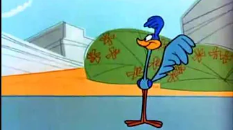 The Roadrunner Song The Roadrunner Song