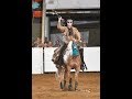 2017 Congress Champion Open Freestlye Reining Score 230! Angie Reichert & Surely Cashin Chex