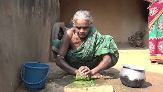 Explain the Village life | Rural life in Bangladesh | Introduce The Village