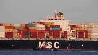 Container Ship Msc Oriane Comes To Baltimore, Maryland March 26, 2019