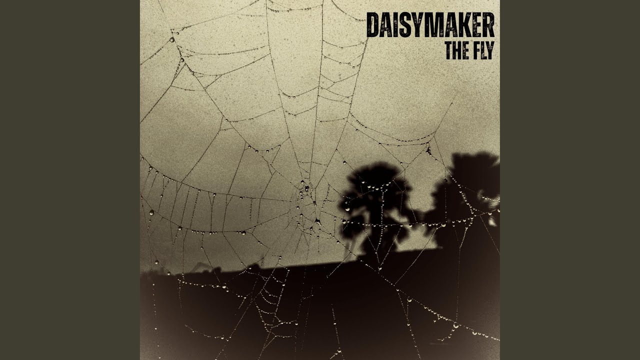 Watch The Fly on YouTube Watch The Fly on YouTube