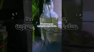 kata2mu rapi tapi nggk mnyentuh akar....