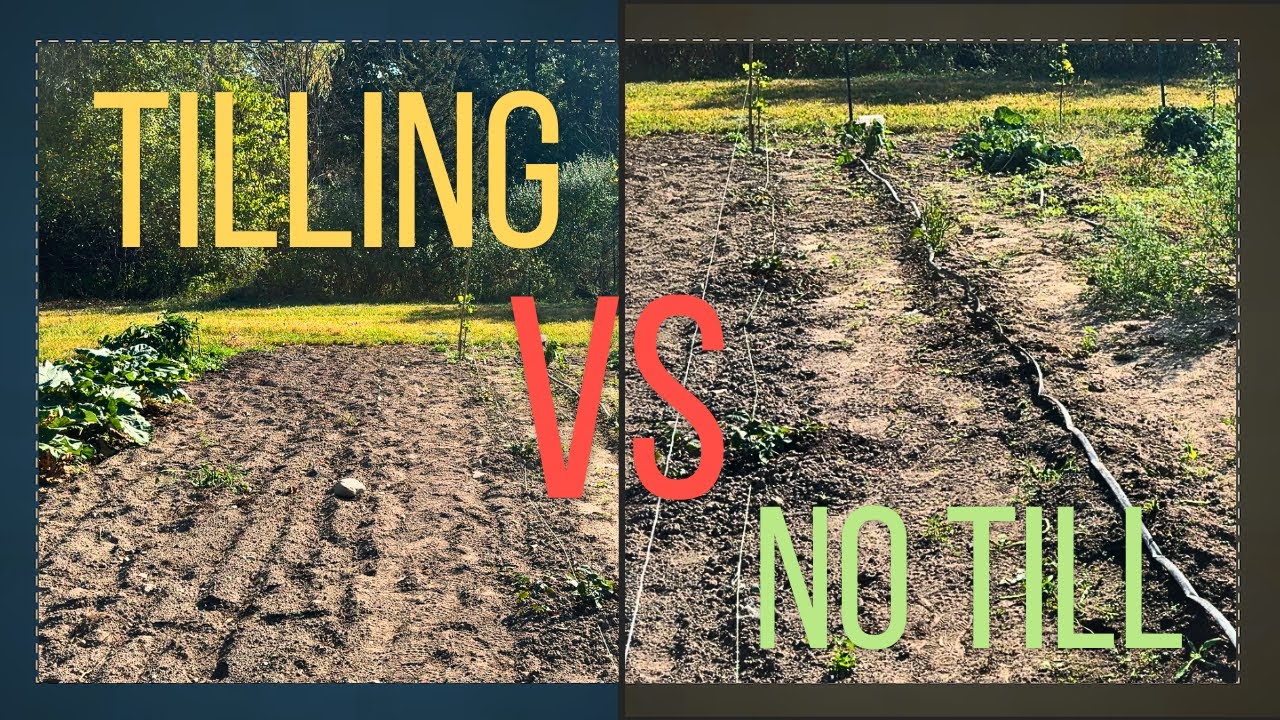 Till vs No Till Pros and Cons of Each #organicgarden #gardening #