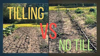 Till vs No Till Pros and Cons of Each #organicgarden #gardening #organic #garden