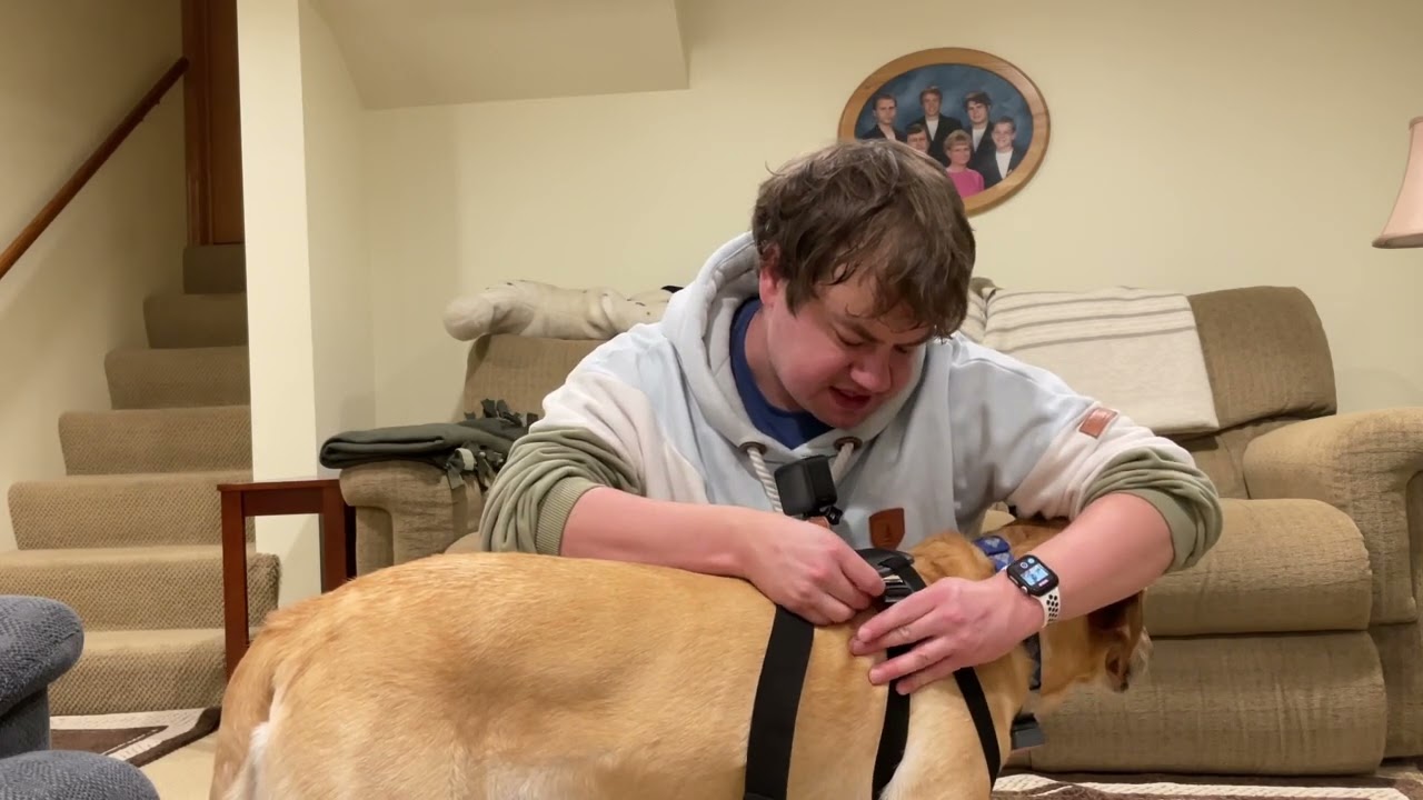 GoPro fetch dog harness review