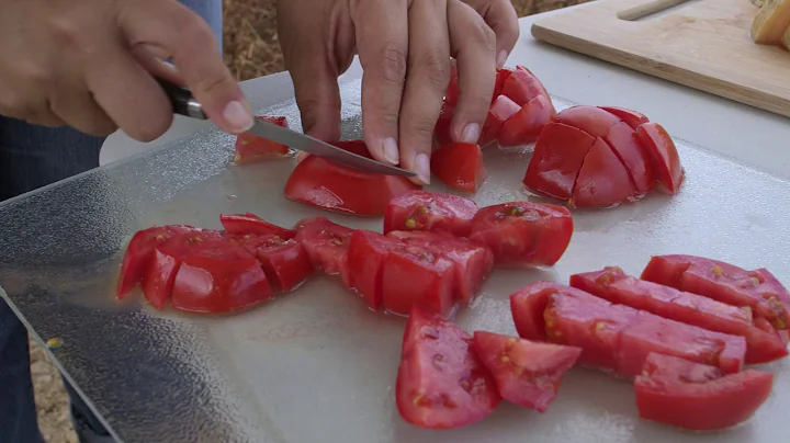 Adapting to a Changing Climate: Conserving Water with Dry Farming Management Practices