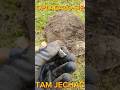 OPŁACAŁO SIĘ TAM JECHAĆ #metaldetecting #hobby