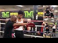 Floyd Mayweather Teaching/Training his SON the GREEN PRINT(The Art Of Boxing) of being TBE 50-0| TMT
