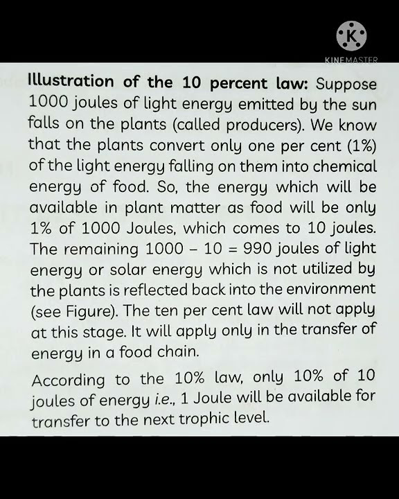 10 Percent Law Our Environment Science Class 10 YouTube 10-percent-law-our-environment-science-class-10-youtube