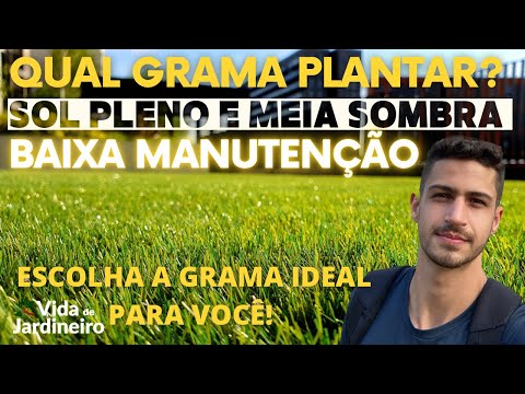 Vídeo: Tipos de gramados, classificação dos gramados e características de cada tipo. Tipos de grama