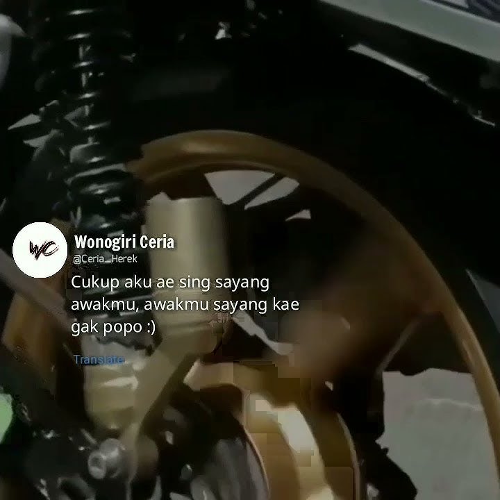 story' wa cb gl mp Tiger keren cocok untuk story' wa terbaru 2021