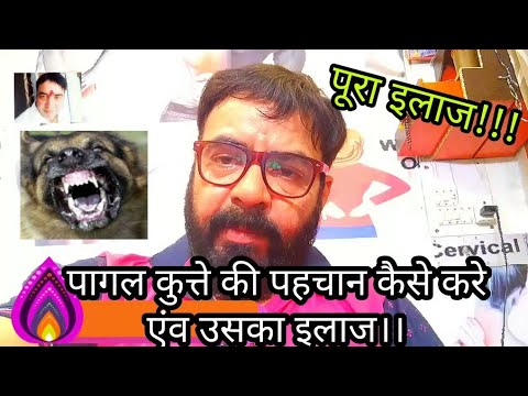 पागल कुत्ते का काटा कैसे पहचाने एंव उसका इलाज | पागल कुत्ते का काटा कैसे पहचाने