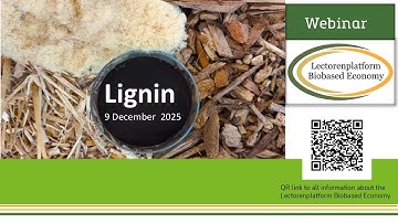 Webinar "Lignin, the underutilized biopolymer" organised by Lectorenplatform Biobased Economy