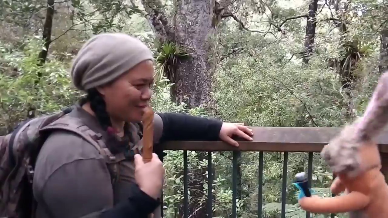 Day 6: Jill Rabbit Interviews - Bay Bush Action - YouTube
