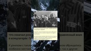 Что означал розовый треугольник, направленный вниз в концлагерях  Германии?