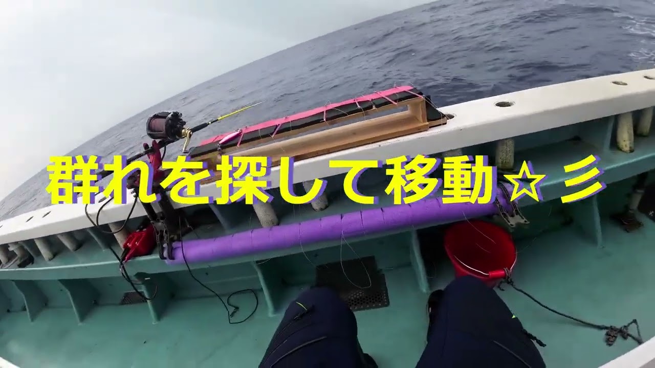 大山沖スルメイカ釣行in豊浜：竜宝丸