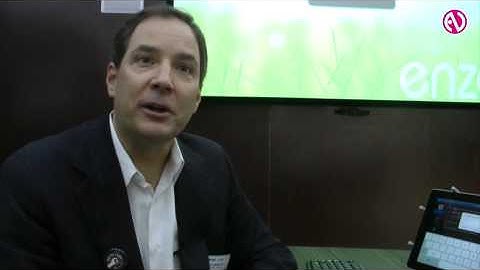 AMX demonstrates updated Enzo