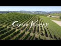 Italian wine tour in La Morra - Farming and winery history with the Corino family