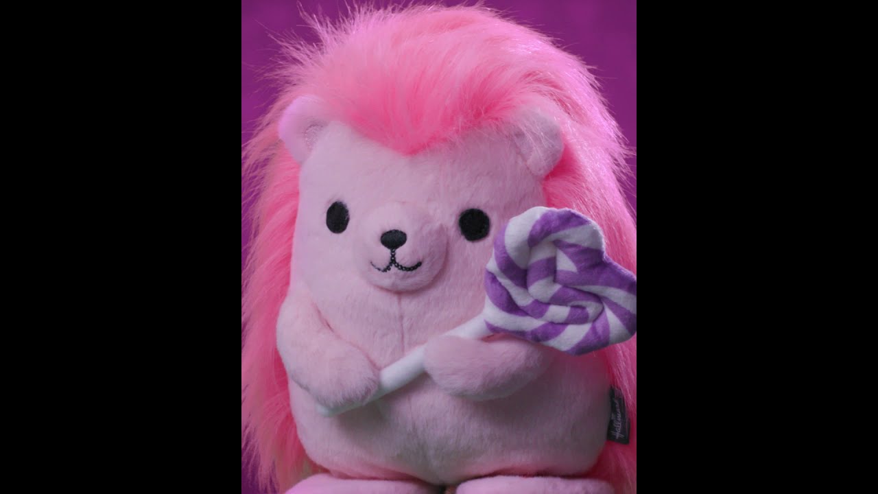 hallmark sweet treat hedgehog singing stuffed animal with motion