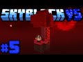 ENTRO nel NETHER VUOTO - Minecraft SKYBLOCK Vs #5