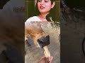जो दिया है भगवान ने बहुतों से अच्छा दिया है लाखों से अच्छा दिया है 👈.#gaumata #gauseva #gausevadham
