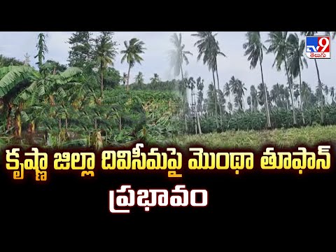 కృష్ణా జిల్లా దివిసీమపై మొంథా తూఫాన్ ప్రభావం | Cyclone Montha affects Diviseema - TV9