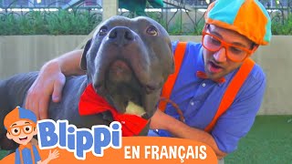 Blippi Visite Un Refuge d’Animaux - Blippi en français | Vidéos éducatives pour les enfants