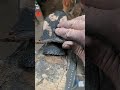 Elephant Hide Boots Re-Soled